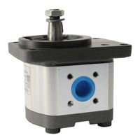 Bomba Hidraulica Pulverizador Jacto 0510425009 Bosch