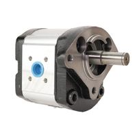 Bomba Hidráulica Simples Trator Massey 9008101415 Indisa