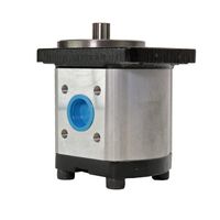 Bomba Hidráulica Simples Trator Massey 9022111817 Indisa