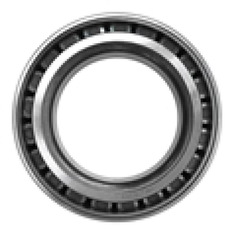 Foto-4966112-3