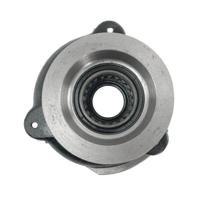 Foto-4966919-1