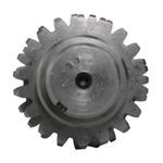 Foto-4966077-2