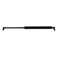 Amortecedor Capo Pulverizador Valtra 6299213 DVS