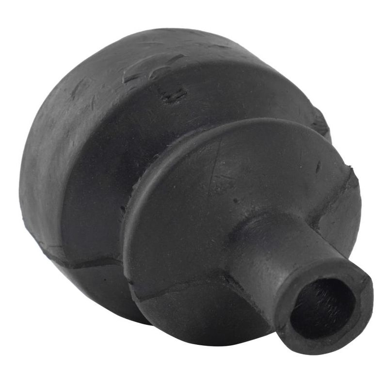 Foto-4958462-2