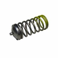 Conjunto Mola Das Válvulas Trator Valtra 836667650 Agco