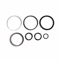 Reparo Cilindro Direção Trator Massey Ferguson 024390 Agel