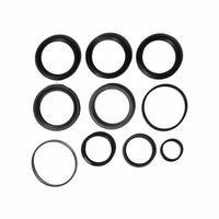 Reparo Cilindro Trator Massey Ferguson 1810252 Agel