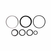 Reparo Cilindro Direção Trator Massey Ferguson 3175455 Agel