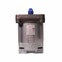 Bomba Hidráulica Engrenagem Trator Massey R979108145 Bosch