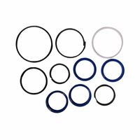 Jogo Reparo Trator Valtra 81231900 Agel