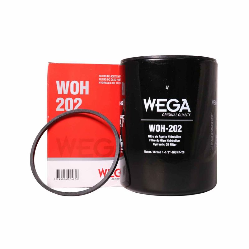 020493WEGA_01