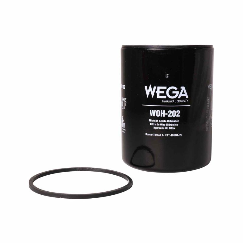 020493WEGA_02