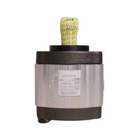 Bomba Hidráulica Trator Agrale 9510080401 Bosch