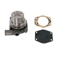 Bomba Água UB320 Trator Massey 70992200 Indisa