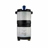 Bomba Hidráulica Dupla Trator Massey 9018102502 Indisa